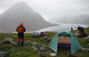 Aletsch-gleccser
